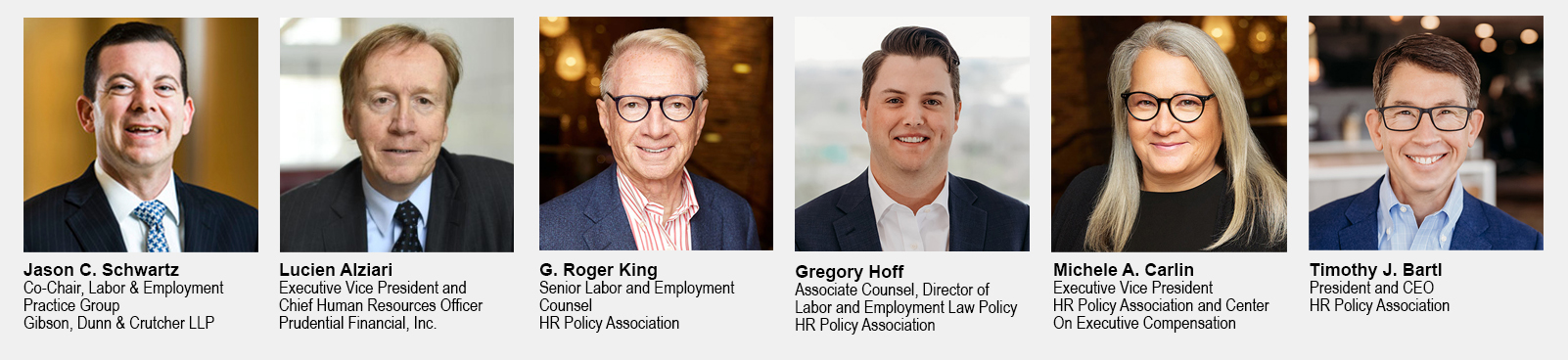 DEI Webinar Panel